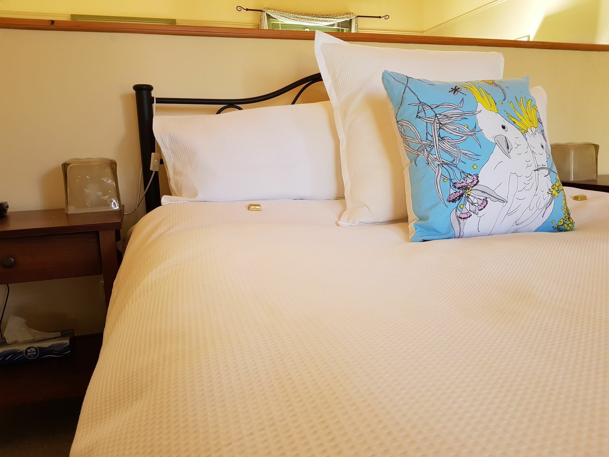 Clonmara Country House And Cottages Port Fairy Εξωτερικό φωτογραφία
